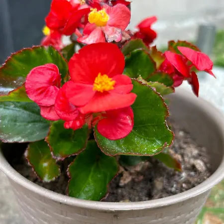 게스트하우스 Urban Getaway Double 3*